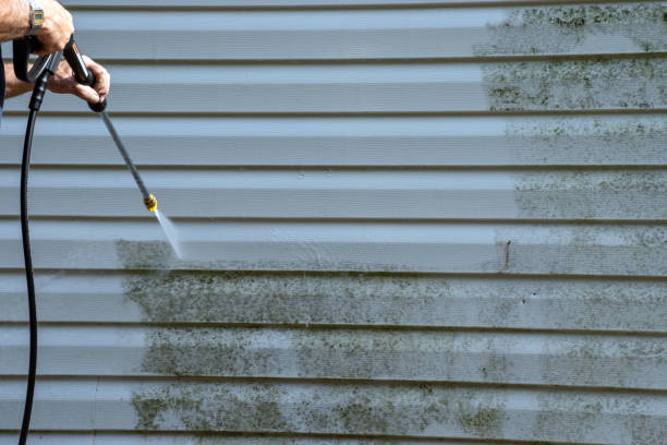 Best Yard Waste Removal  in Town Creek, AL